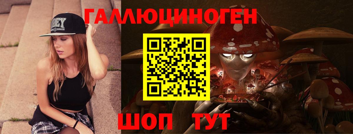 Псилоцибиновые грибы Cubensis Саратов